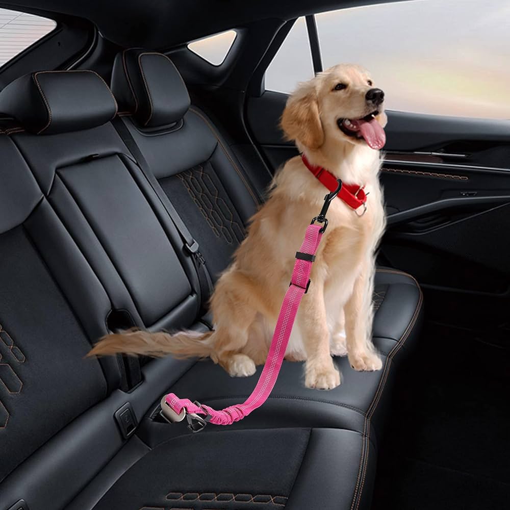 Autós biztonsági hám